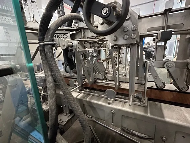 Used Bottling Case Sealer RICO 205 - 2008, 900 BPH
