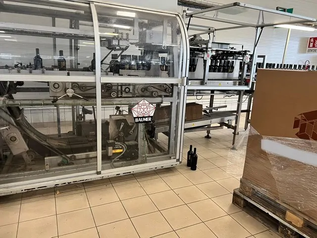 Used Bottling Hive Inserter Baumer flex 512/3 - 2013, 25 BPH