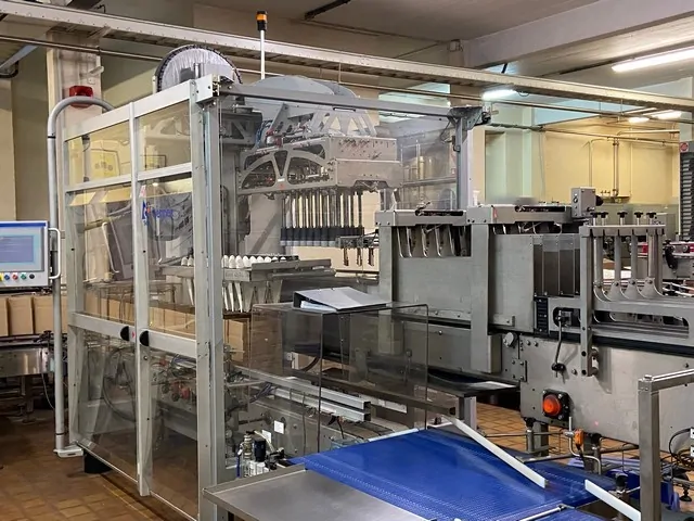 Used Bottling Case Packer Sidel E460.60 - 2011, 1,000 BPH