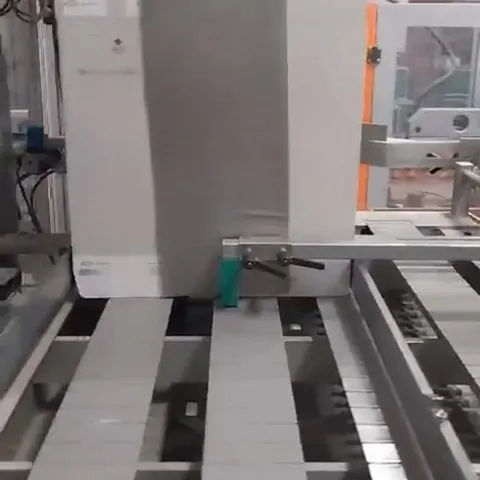 Used Bottling Case Packer Bortolin Kemo - 2002, 5,500 BPH