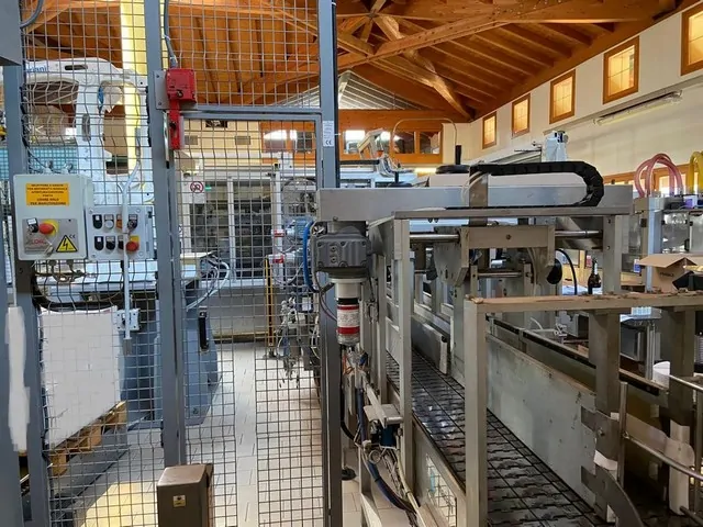 Used Bottling Palletizer Mariani abb irb 460-110 - 2013, 600 BPH