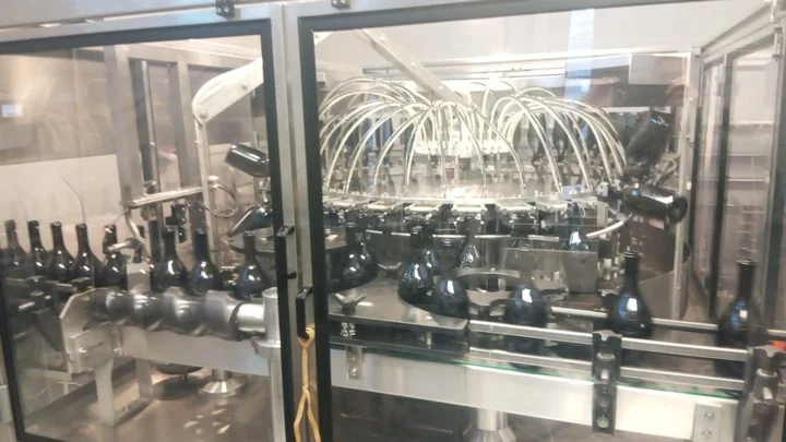 Used Bottling Rinser Costec SF 24 - 1994, 5,000 BPH